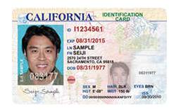 ID Card Printing: Central vs Over The Counter Issuance