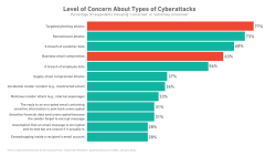level of concern of cyberthreats